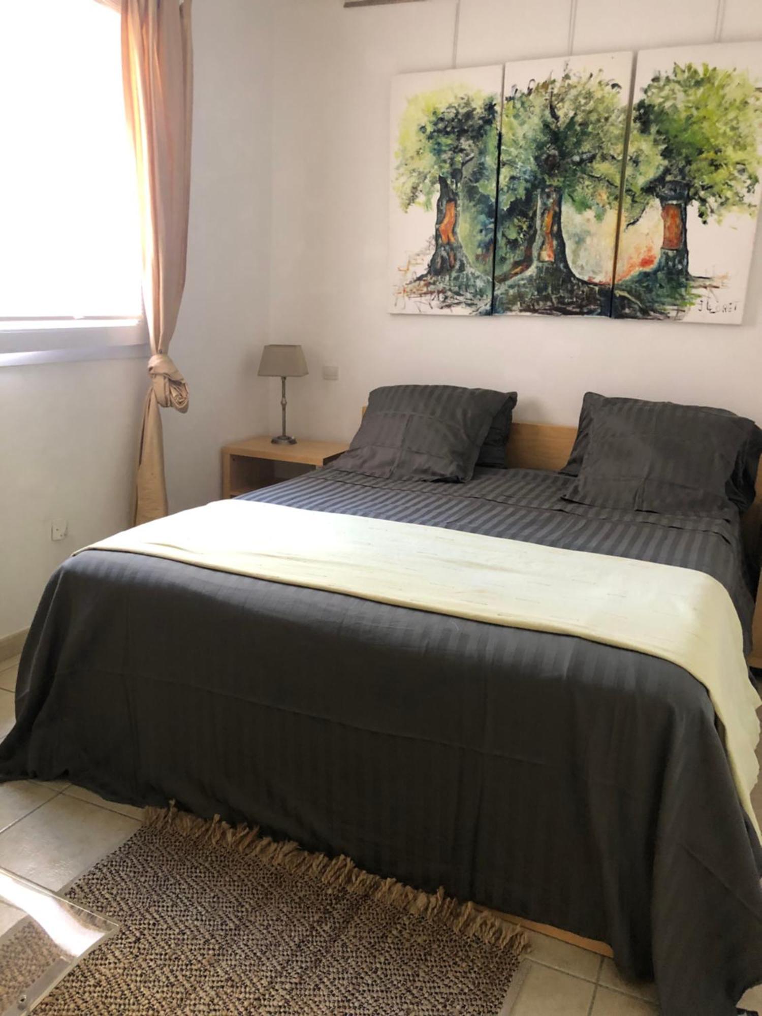 La Terrasse Apartment Port Vendres ภายนอก รูปภาพ